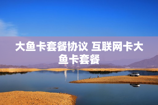 大鱼卡套餐协议 互联网卡大鱼卡套餐