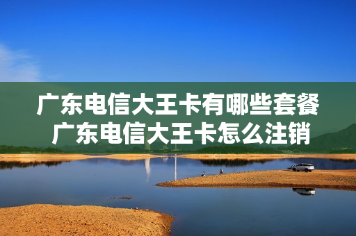 广东电信大王卡有哪些套餐 广东电信大王卡怎么注销