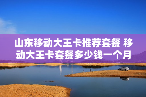 山东移动大王卡推荐套餐 移动大王卡套餐多少钱一个月