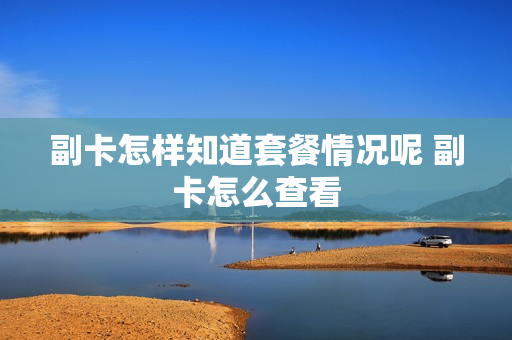 副卡怎样知道套餐情况呢 副卡怎么查看