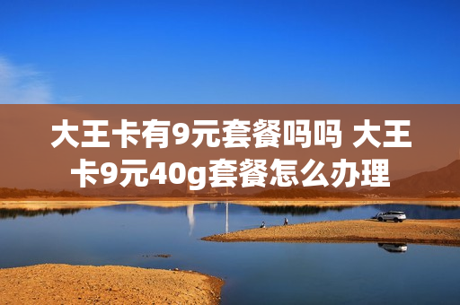 大王卡有9元套餐吗吗 大王卡9元40g套餐怎么办理