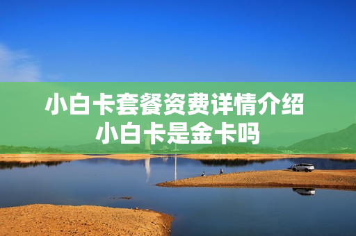 小白卡套餐资费详情介绍 小白卡是金卡吗