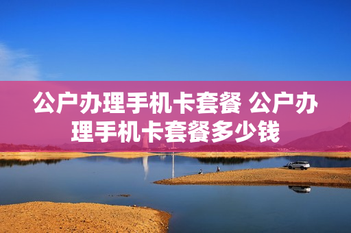 公户办理手机卡套餐 公户办理手机卡套餐多少钱