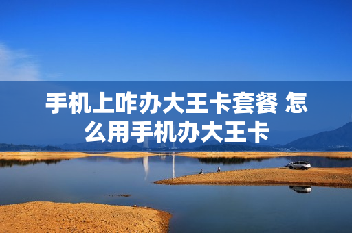 手机上咋办大王卡套餐 怎么用手机办大王卡