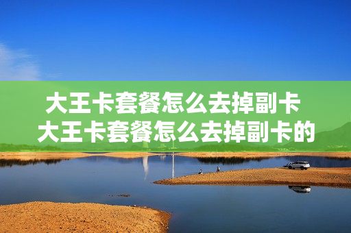 大王卡套餐怎么去掉副卡 大王卡套餐怎么去掉副卡的