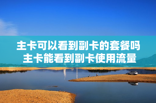 主卡可以看到副卡的套餐吗 主卡能看到副卡使用流量吗