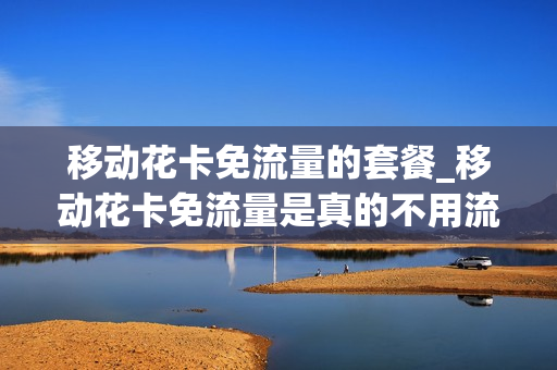 移动花卡免流量的套餐_移动花卡免流量是真的不用流量吗