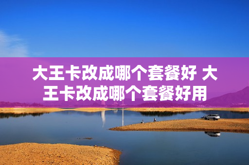 大王卡改成哪个套餐好 大王卡改成哪个套餐好用