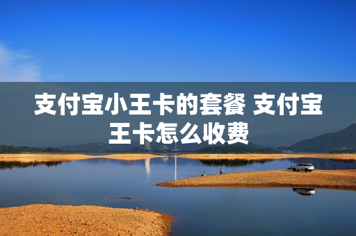 支付宝小王卡的套餐 支付宝王卡怎么收费