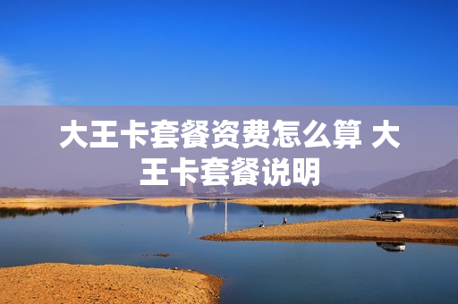大王卡套餐资费怎么算 大王卡套餐说明