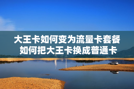 大王卡如何变为流量卡套餐 如何把大王卡换成普通卡
