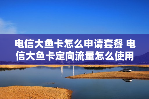 电信大鱼卡怎么申请套餐 电信大鱼卡定向流量怎么使用