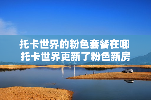 托卡世界的粉色套餐在哪 托卡世界更新了粉色新房