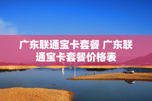 广东联通宝卡套餐 广东联通宝卡套餐价格表