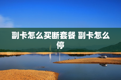 副卡怎么买断套餐 副卡怎么停