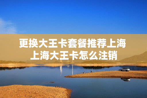 更换大王卡套餐推荐上海 上海大王卡怎么注销