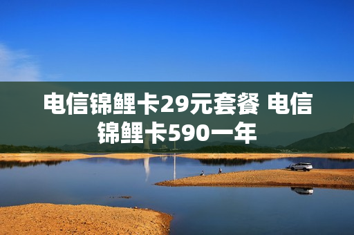 电信锦鲤卡29元套餐 电信锦鲤卡590一年