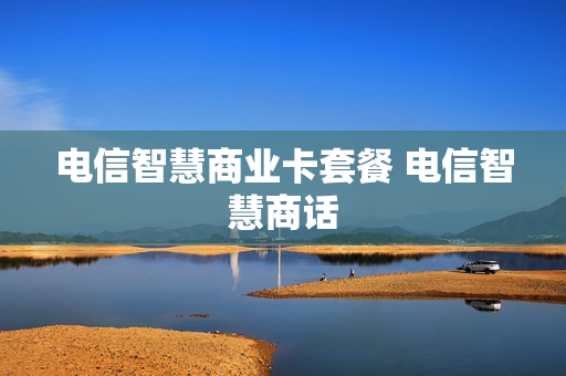电信智慧商业卡套餐 电信智慧商话
