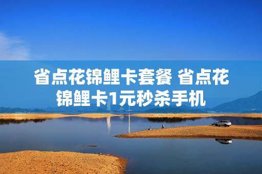 省点花锦鲤卡套餐 省点花锦鲤卡1元秒杀手机