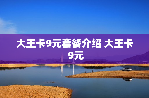 大王卡9元套餐介绍 大王卡 9元