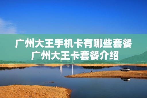 广州大王手机卡有哪些套餐 广州大王卡套餐介绍