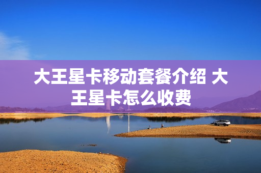 大王星卡移动套餐介绍 大王星卡怎么收费