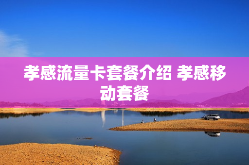孝感流量卡套餐介绍 孝感移动套餐
