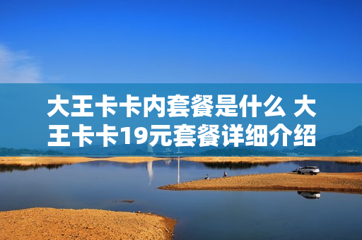 大王卡卡内套餐是什么 大王卡卡19元套餐详细介绍