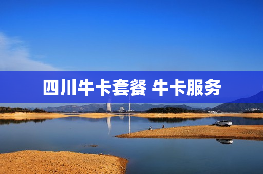 四川牛卡套餐 牛卡服务
