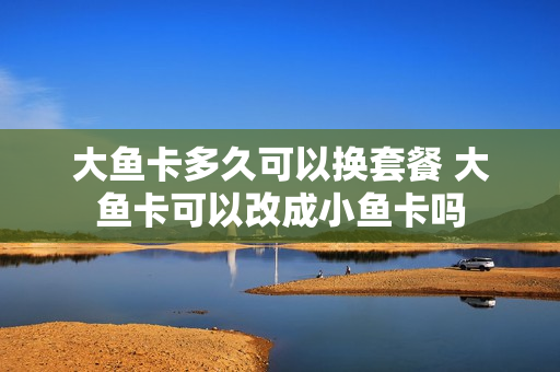 大鱼卡多久可以换套餐 大鱼卡可以改成小鱼卡吗