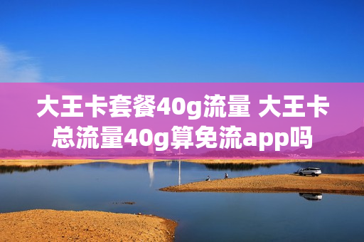 大王卡套餐40g流量 大王卡总流量40g算免流app吗