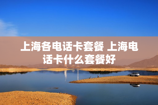 上海各电话卡套餐 上海电话卡什么套餐好