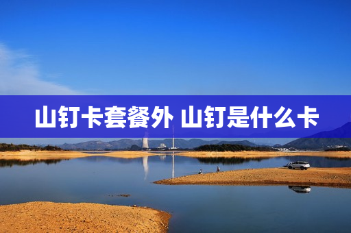 山钉卡套餐外 山钉是什么卡