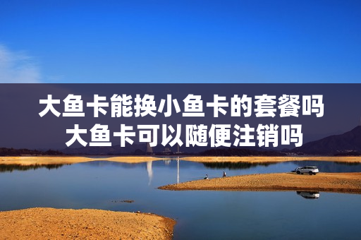 大鱼卡能换小鱼卡的套餐吗 大鱼卡可以随便注销吗