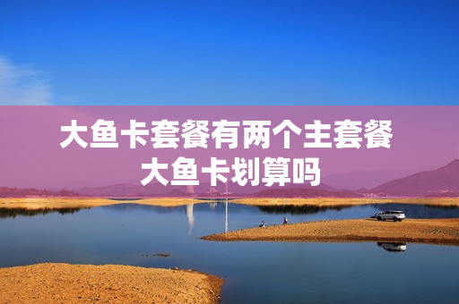 大鱼卡套餐有两个主套餐 大鱼卡划算吗