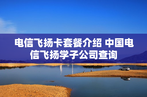 电信飞扬卡套餐介绍 中国电信飞扬学子公司查询