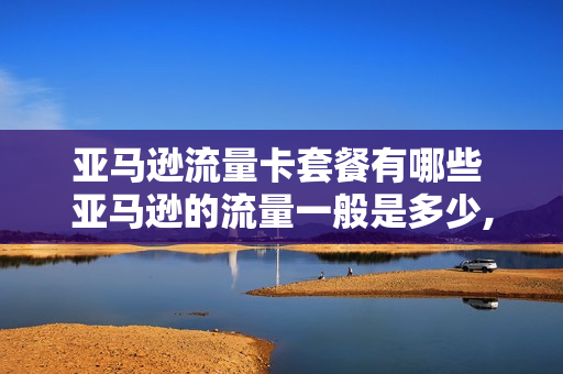 亚马逊流量卡套餐有哪些 亚马逊的流量一般是多少,有多少商家