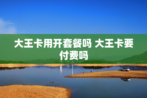 大王卡用开套餐吗 大王卡要付费吗