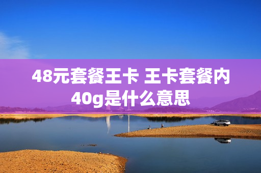 48元套餐王卡 王卡套餐内40g是什么意思
