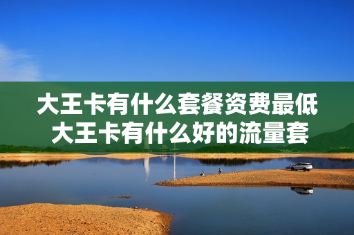 大王卡有什么套餐资费最低 大王卡有什么好的流量套餐