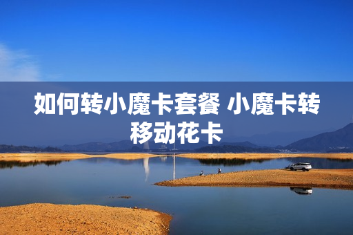 如何转小魔卡套餐 小魔卡转移动花卡