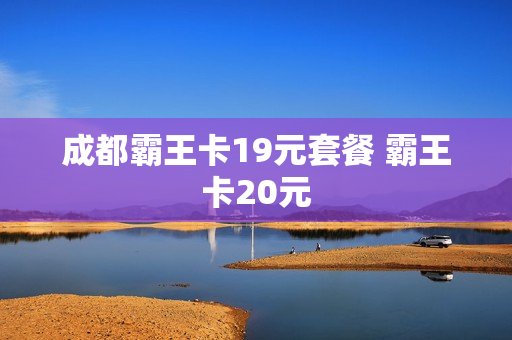 成都霸王卡19元套餐 霸王卡20元
