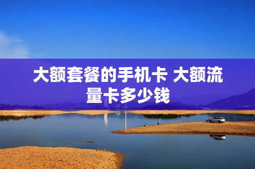 大额套餐的手机卡 大额流量卡多少钱