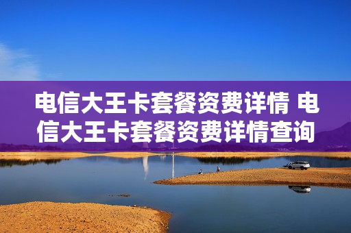 电信大王卡套餐资费详情 电信大王卡套餐资费详情查询