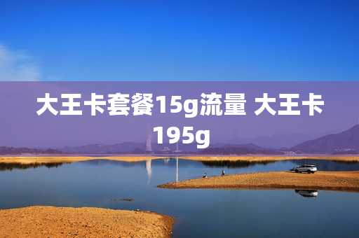 大王卡套餐15g流量 大王卡195g