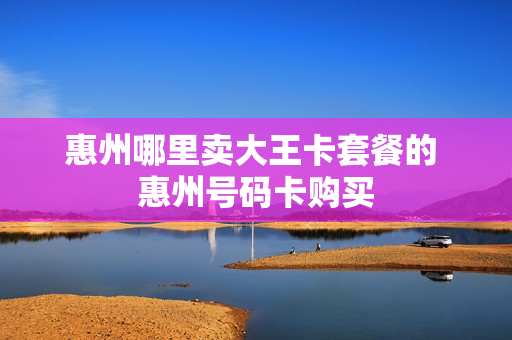 惠州哪里卖大王卡套餐的 惠州号码卡购买