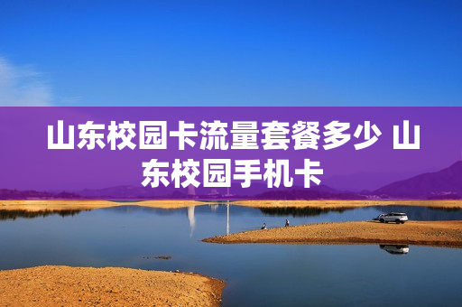 山东校园卡流量套餐多少 山东校园手机卡