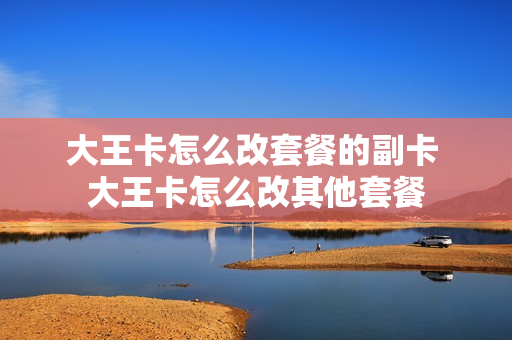 大王卡怎么改套餐的副卡 大王卡怎么改其他套餐