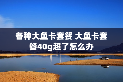 各种大鱼卡套餐 大鱼卡套餐40g超了怎么办