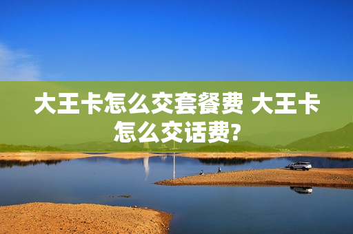 大王卡怎么交套餐费 大王卡怎么交话费?